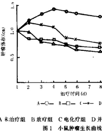 放疗结合电化疗对小鼠肿瘤组织细胞G1期阻断与凋